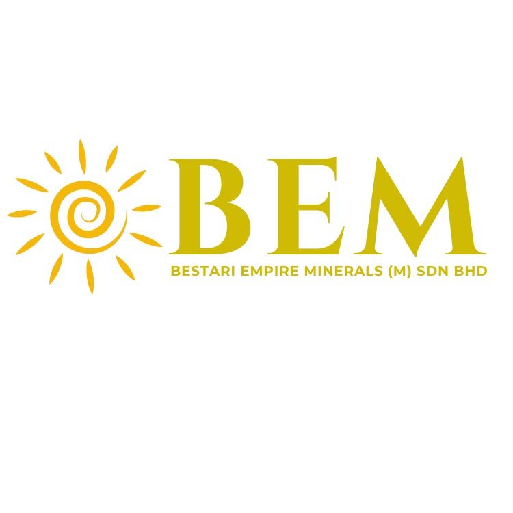 BEM LOGO